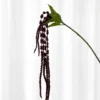 Amaranthus gren Kunstig Blomst - Bordeaux