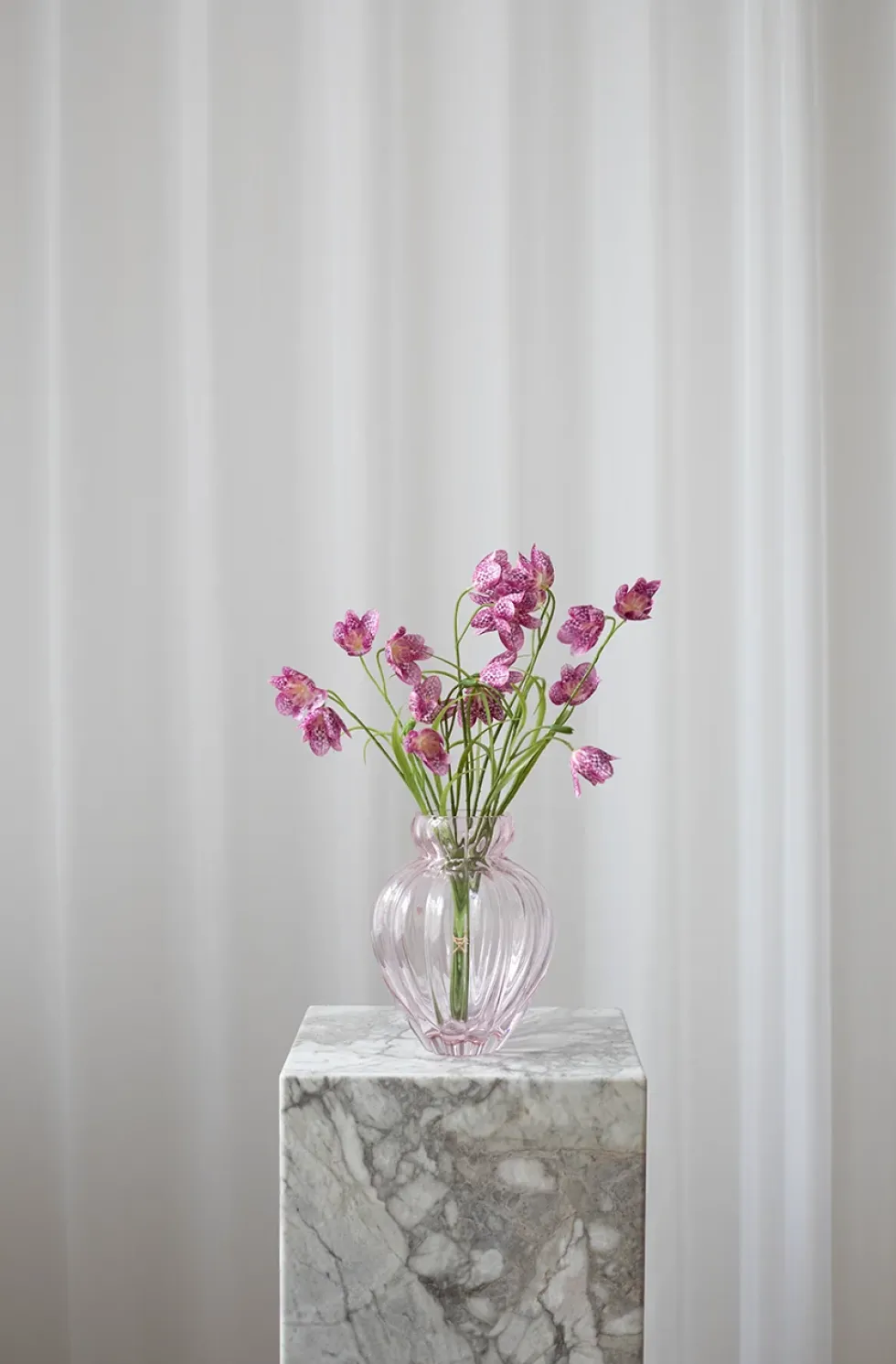 Buket Klokkeblomst - plum
