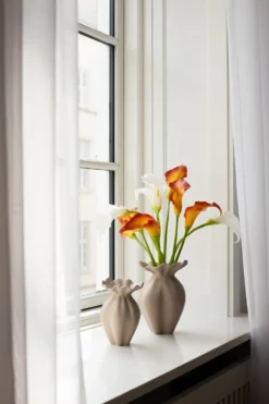 Calla lilje - hvid
