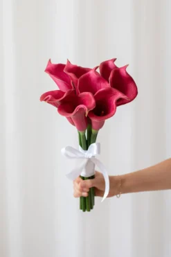 Calla lilje - lilla