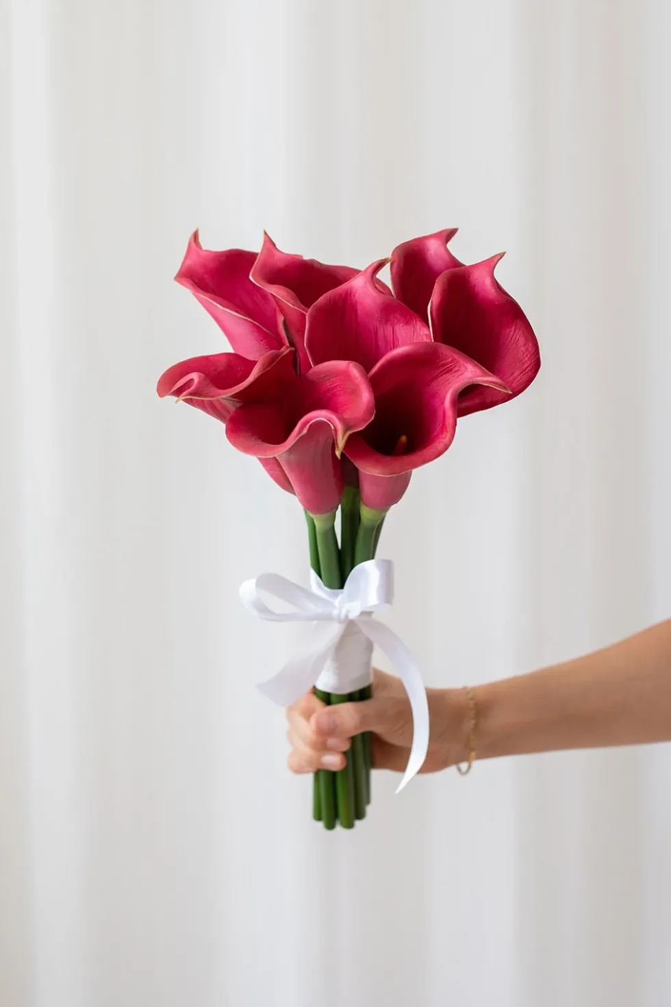 Calla lilje - lilla