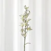 Dendrobium Kunstig Blomst - Hvid