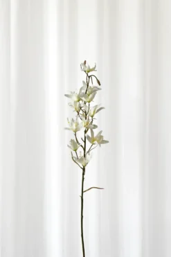 Dendrobium Kunstig Blomst - Hvid