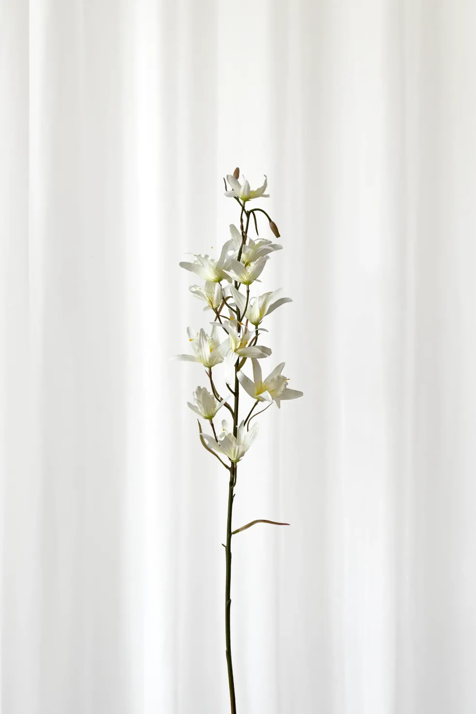 Dendrobium Kunstig Blomst - Hvid