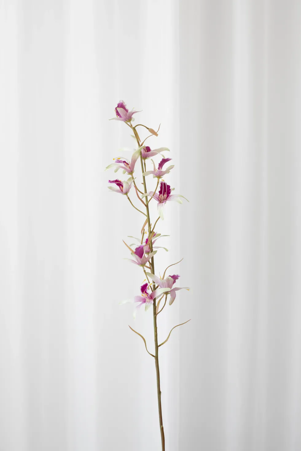 Dendrobium Kunstig Blomst - Lilla