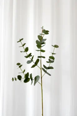 Eukalyptus Kunstig Blomst - Grøn