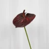 Flamingoblomst Kunstig Blomst - Bordeaux