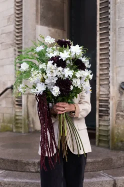 Fontanesia Kunstig Blomst - Hvid