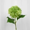 Hortensia Kunstig Blomst - Grøn | Stor