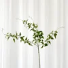Klematis Kunstig Blomst - Grøn
