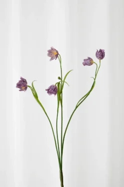 Klokkeblomst - lyselilla