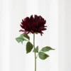 Krysantemum no. 1 - burgundy