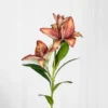 Lilje Kunstig Blomst - Bordeaux | Stor