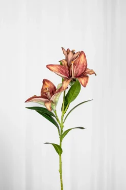 Lilje Kunstig Blomst - Bordeaux | Stor
