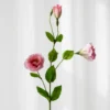 Lisianthus - pink
