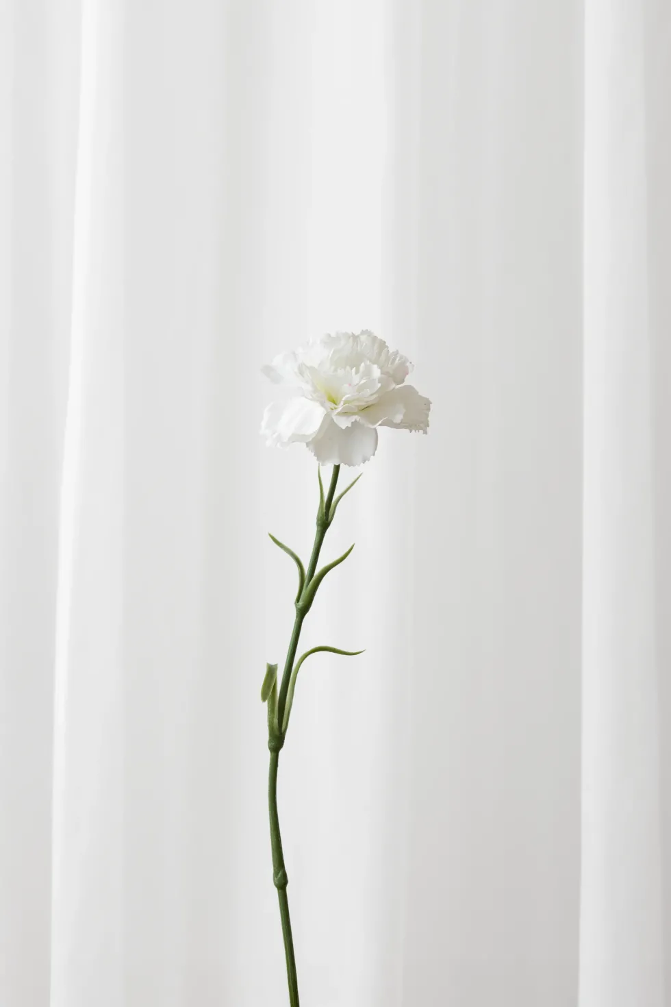 Nellike Kunstig Blomst - Hvid