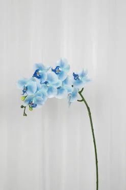 Orkidé Kunstig Blomst - Blå | 9 hoveder
