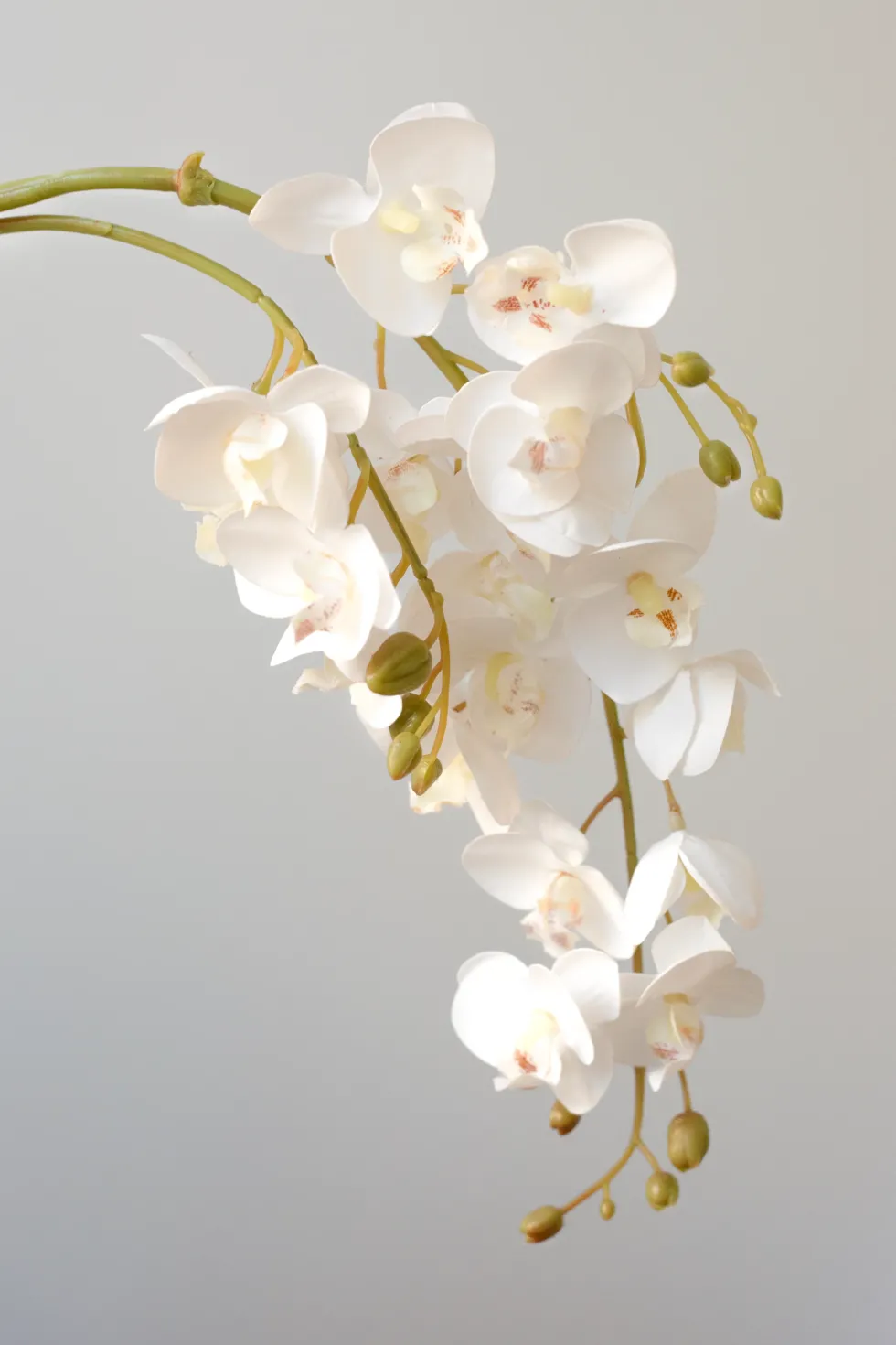 Orkidé Kunstig Blomst - Hvid | 21 hoveder