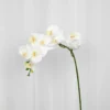 Orkidé Kunstig Blomst - Hvid | 9 hoveder