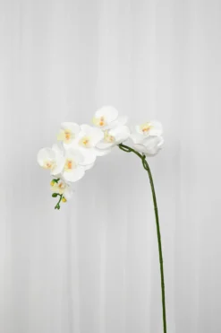 Orkidé Kunstig Blomst - Hvid | 9 hoveder