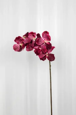 Orkidé Kunstig Blomst - Plum | 7 hoveder