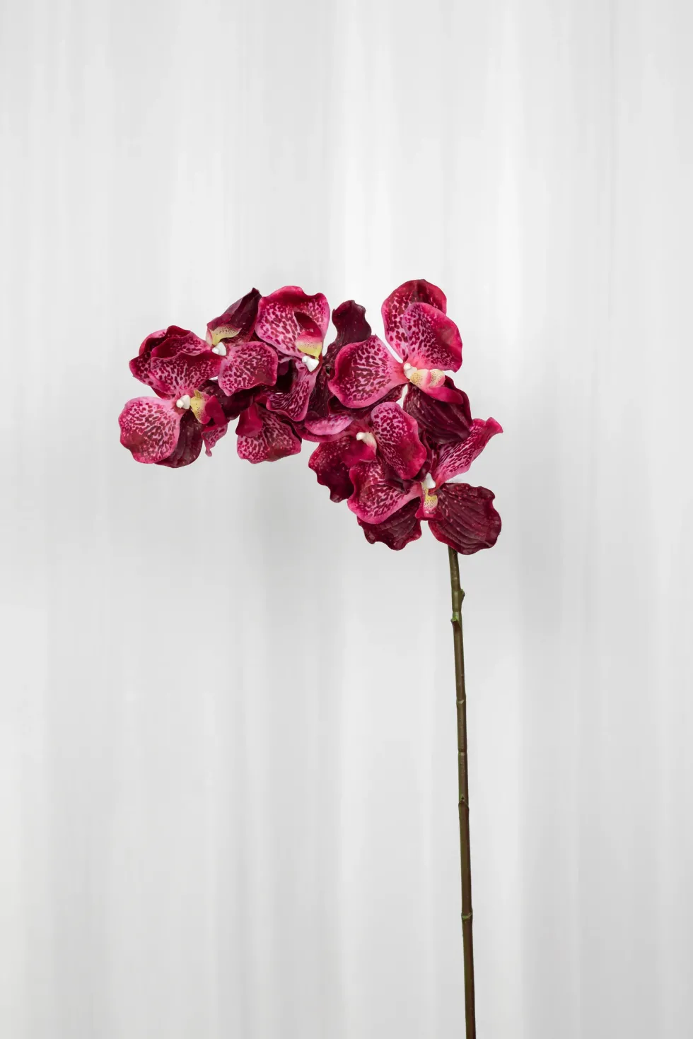 Orkidé Kunstig Blomst - Plum | 7 hoveder