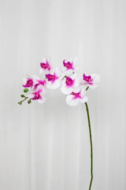 Orkidé Kunstig Blomst - Rose | 9 hoveder