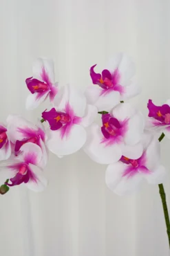 Orkidé Kunstig Blomst - Rose | 9 hoveder