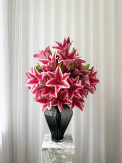 Pink Liljedrøm