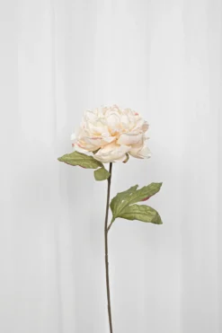 Pæon Kunstig Blomst - Creme