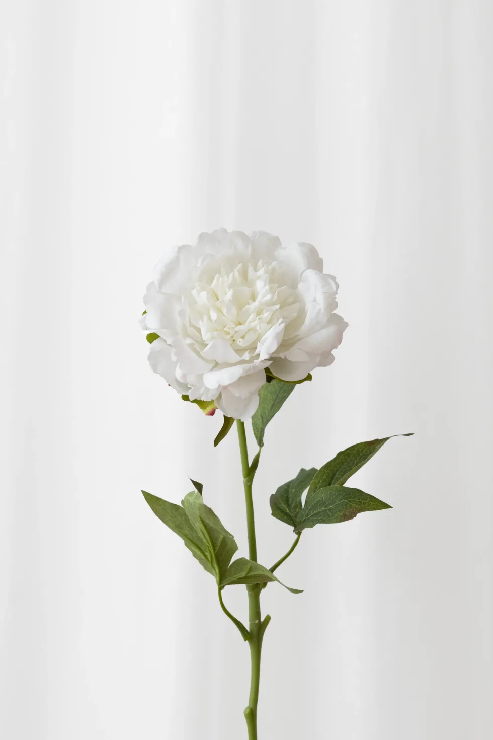 Pæon Kunstig Blomst - Hvid