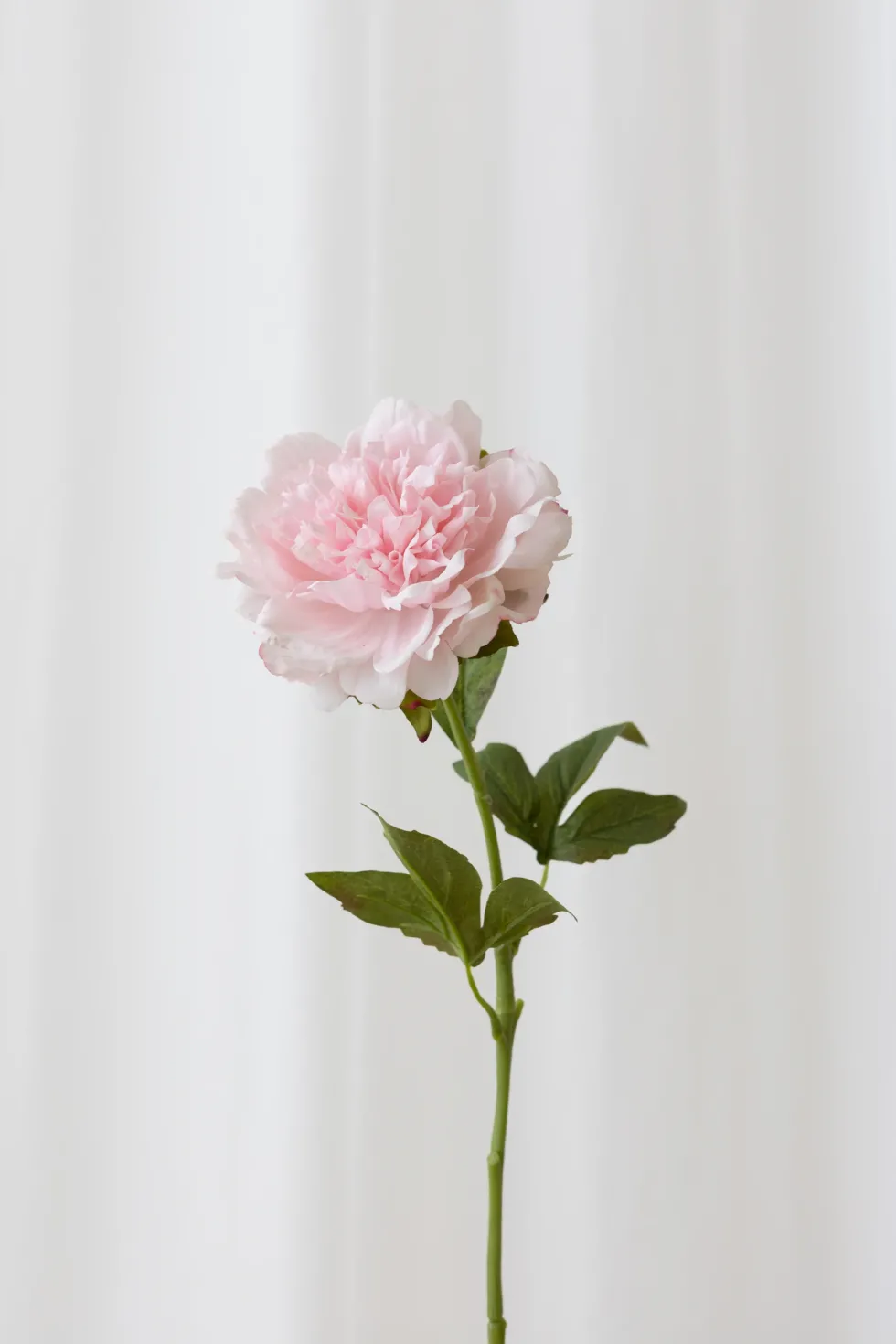 Pæon Kunstig Blomst - Lyserød