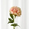 Pæon Kunstig Blomst - Peach