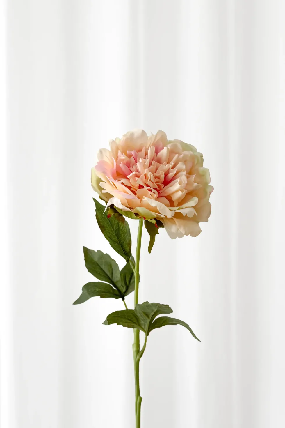 Pæon Kunstig Blomst - Peach