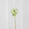 Skabiose Kunstig Blomst - Grøn | Ét hoved
