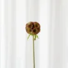Skabiose Kunstig Blomst - Rød | Ét hoved