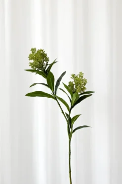 Skimmia gren Kunstig Blomst - Grøn