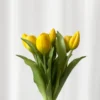 Tulipanbundt 5 - gul