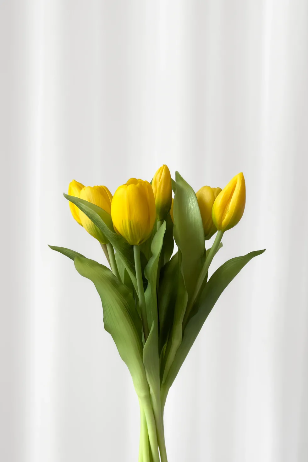 Tulipanbundt 5 - gul