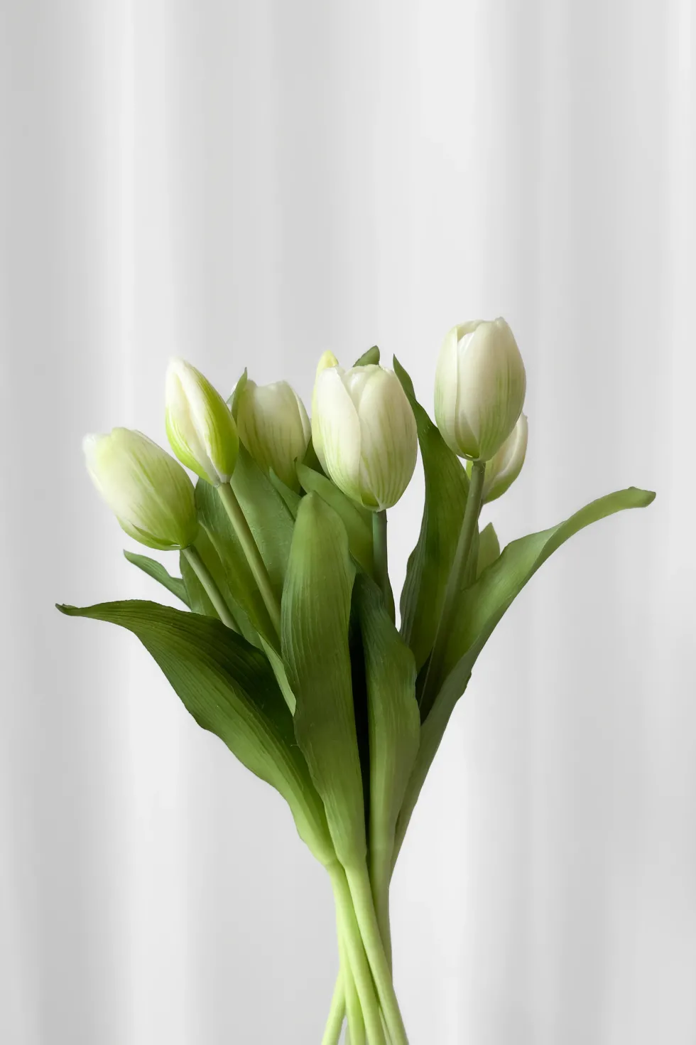 Tulipanbundt 5 - hvid