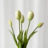 Tulipanbundt 1 - hvid
