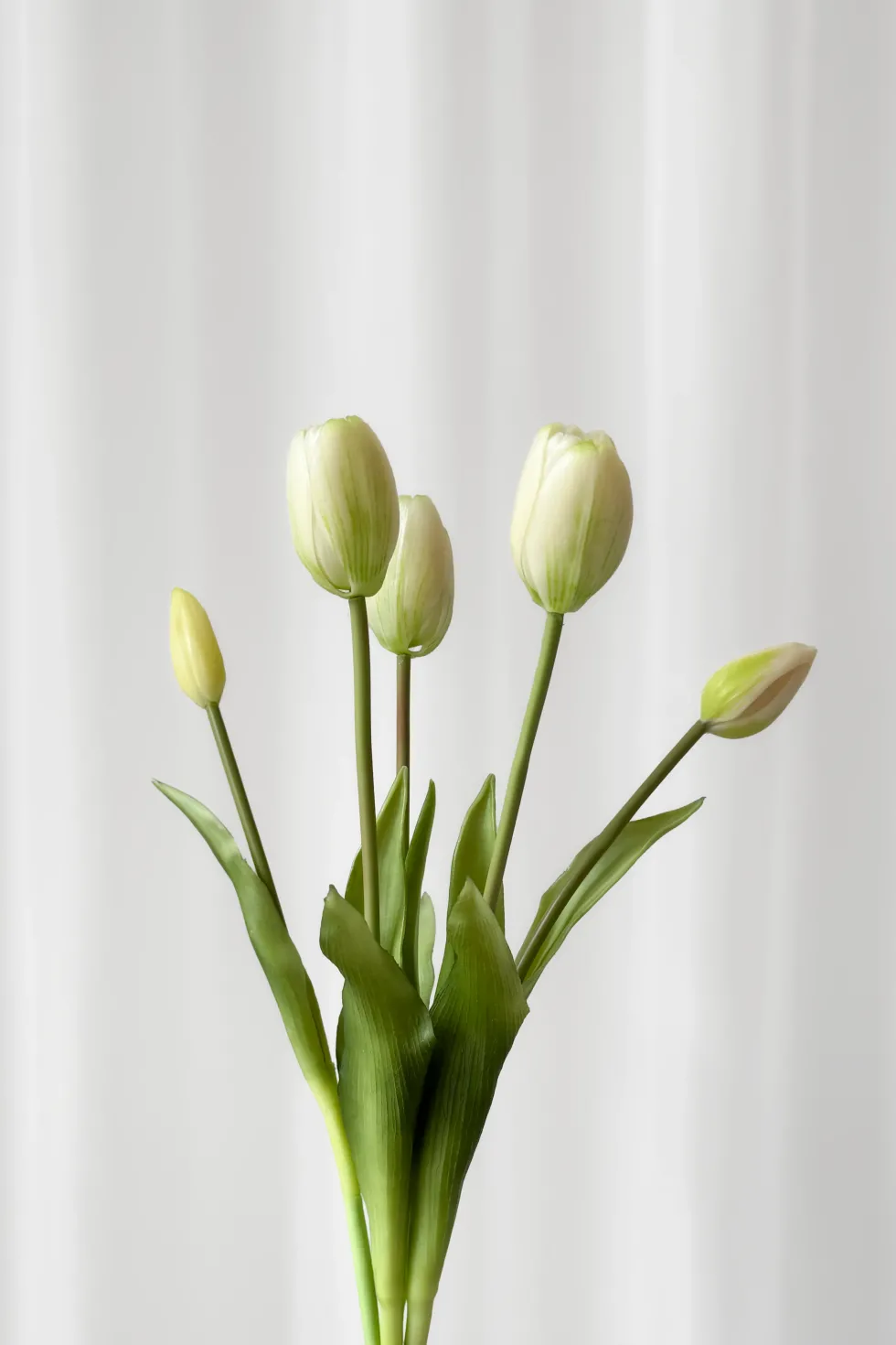 Tulipanbundt 1 - hvid