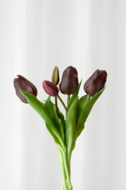 Tulipanbundt 34 - lilla