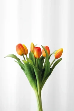 Tulipanbundt 32 - orange