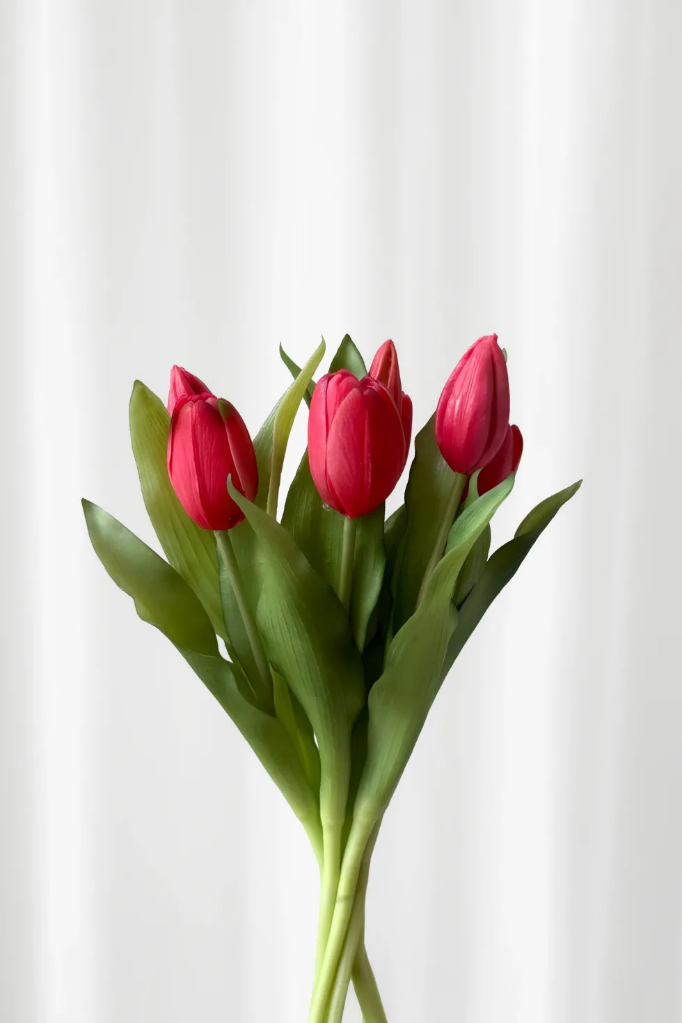 Tulipanbundt 5 - rose