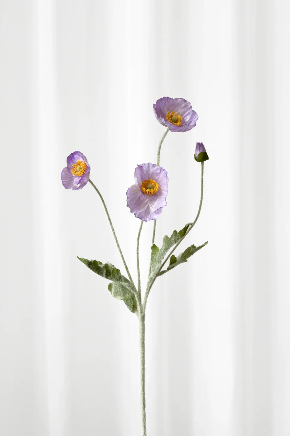 Valmue - lilla