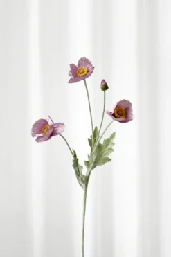 Valmue - violet